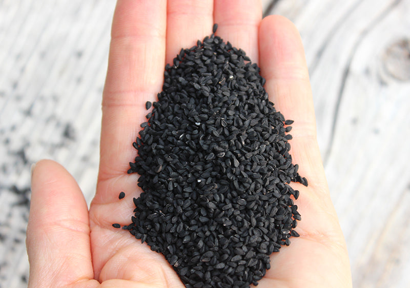 Hand holding a small pile of black seeds against a neutral background